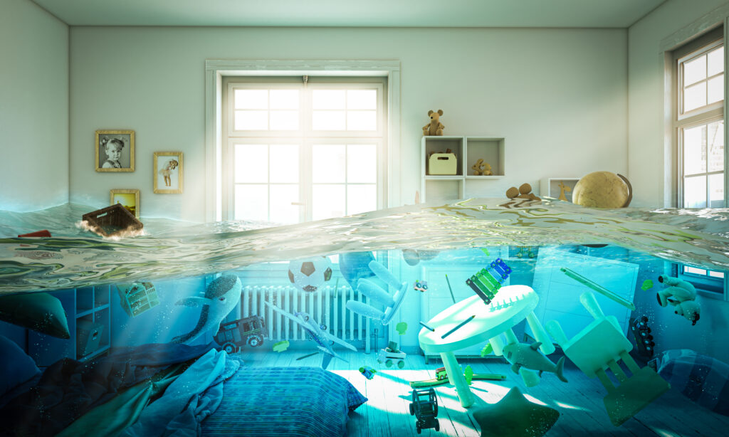 water damage cleanup