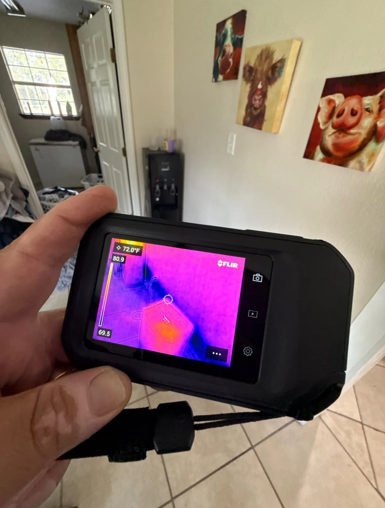 Thermal imaging and moisture mapping during restoration